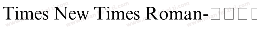Times New Times Roman字体转换